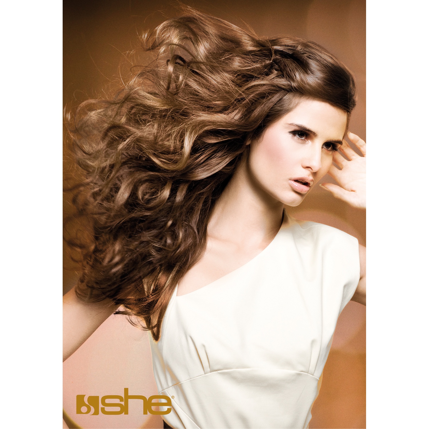 she hair Salon Poster with styles of Extensions | Hairoyal - Online Shop